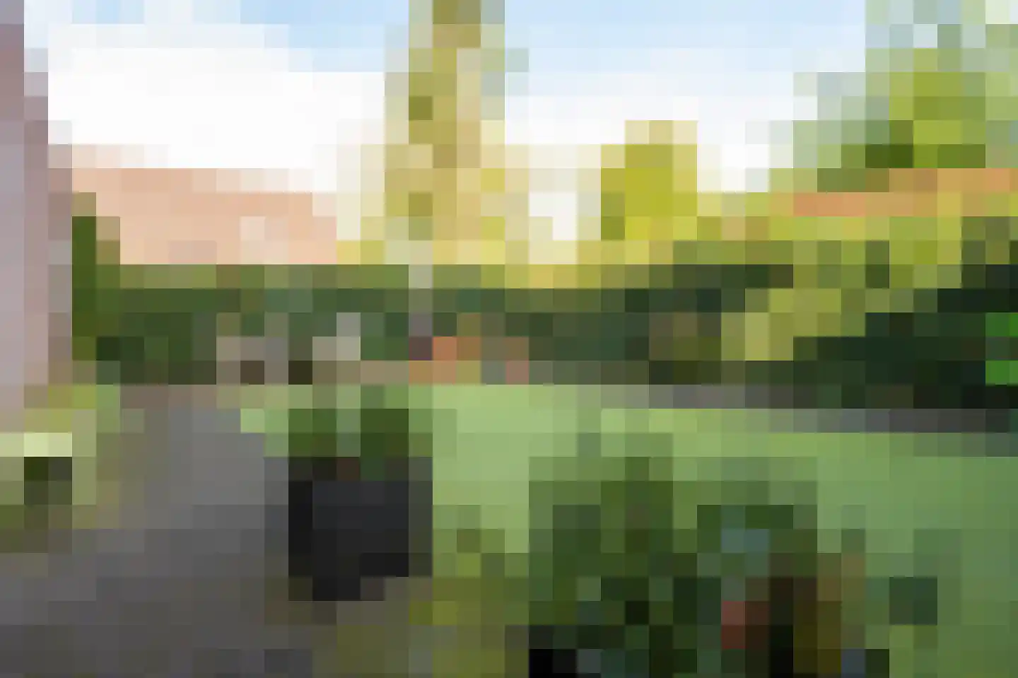 Mussenveld 100 Emmen thumbnail 27