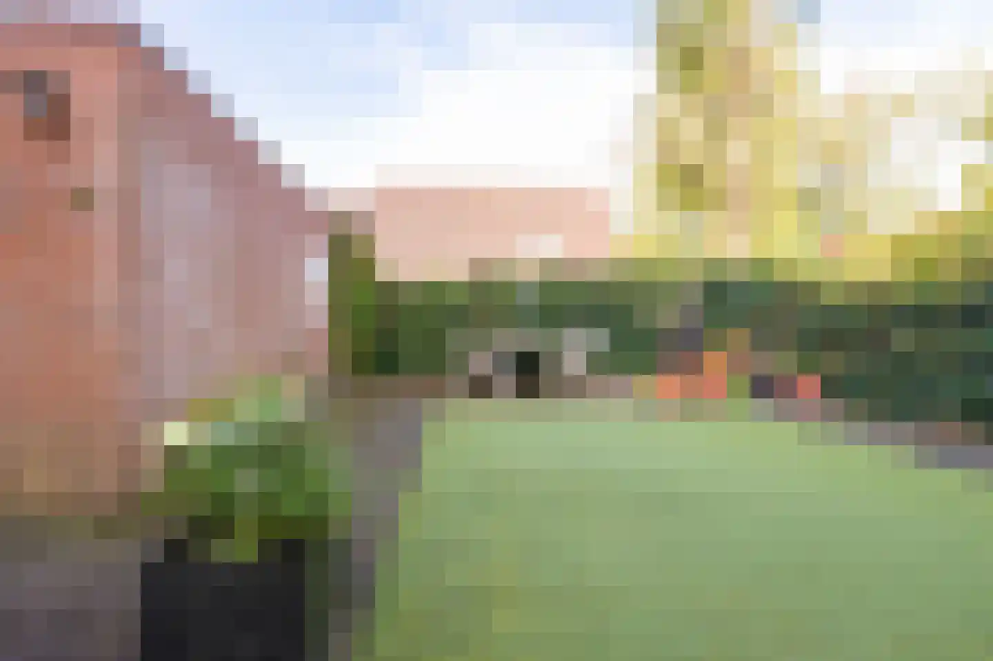 Mussenveld 100 Emmen thumbnail 29