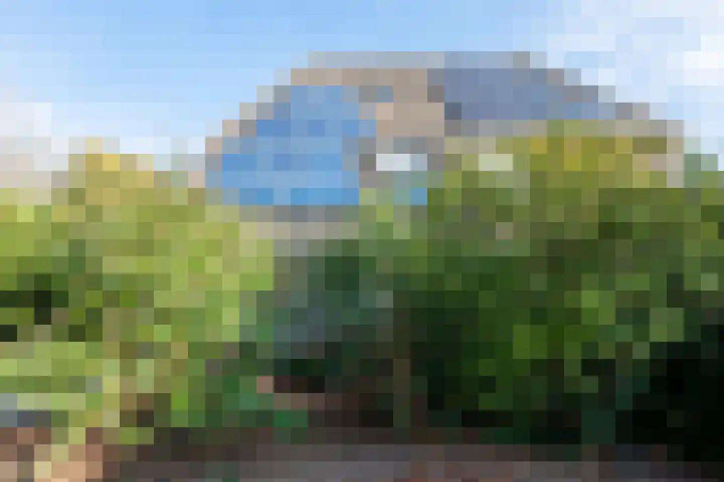 Mussenveld 100 Emmen thumbnail 39