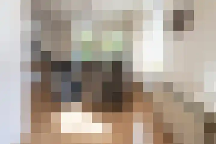 Mussenveld 126 Emmen thumbnail 12