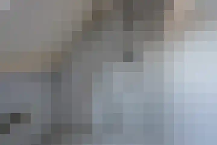 Mussenveld 126 Emmen thumbnail 29