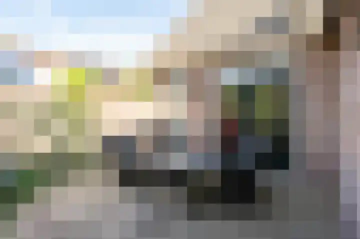 Mussenveld 126 Emmen thumbnail 30