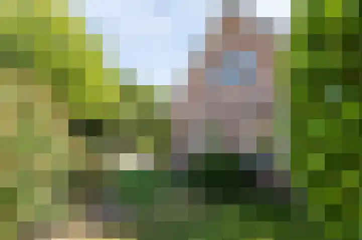 Mussenveld 126 Emmen thumbnail 31
