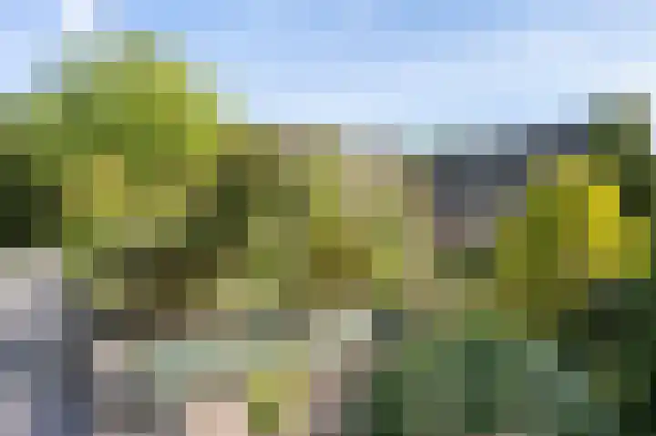 Mussenveld 126 Emmen thumbnail 33