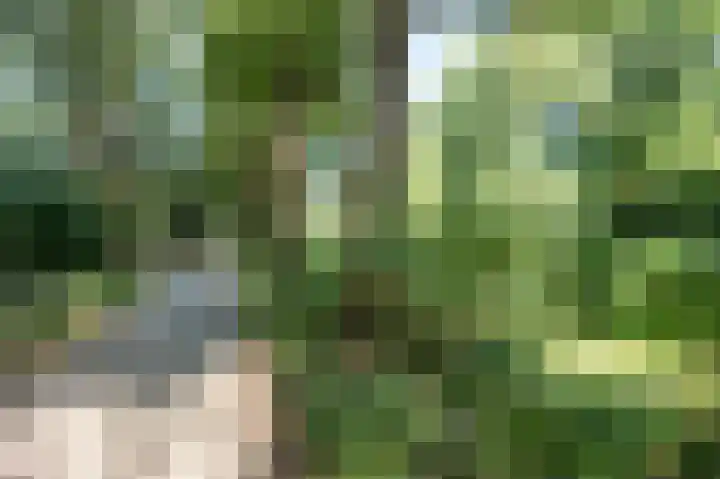 Mussenveld 126 Emmen thumbnail 38