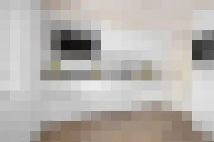 Mussenveld 79 Emmen thumbnail 18