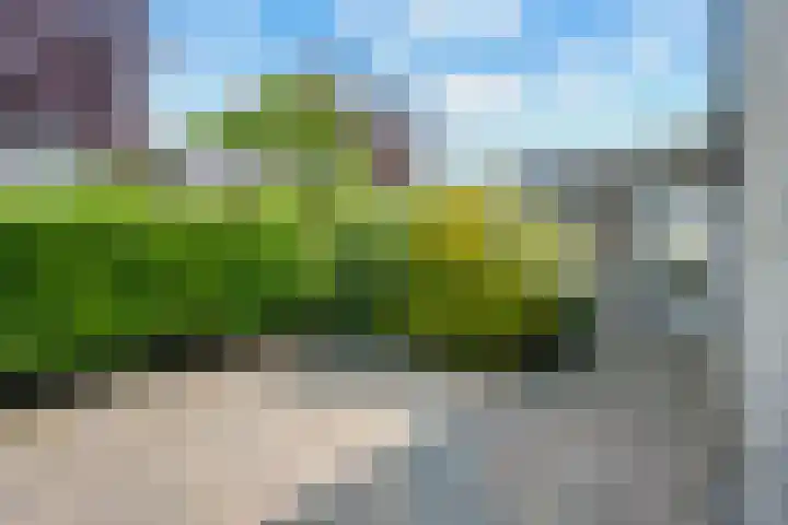Mussenveld 79 Emmen thumbnail 30