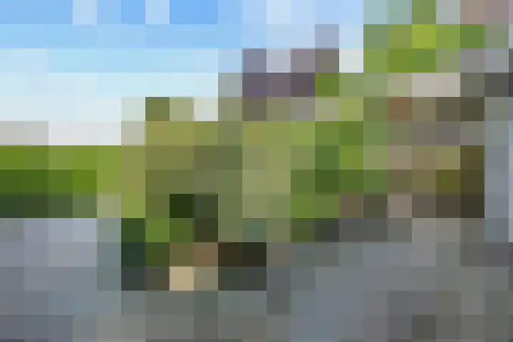 Mussenveld 79 Emmen thumbnail 31
