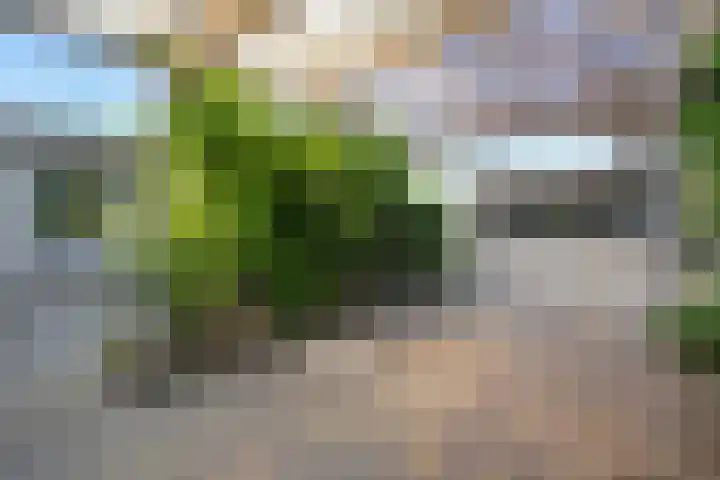 Mussenveld 79 Emmen thumbnail 32