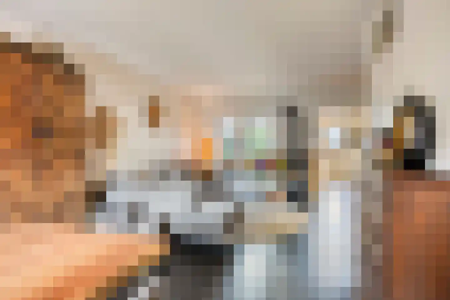 Mutjeskamp 2 Lith thumbnail 10