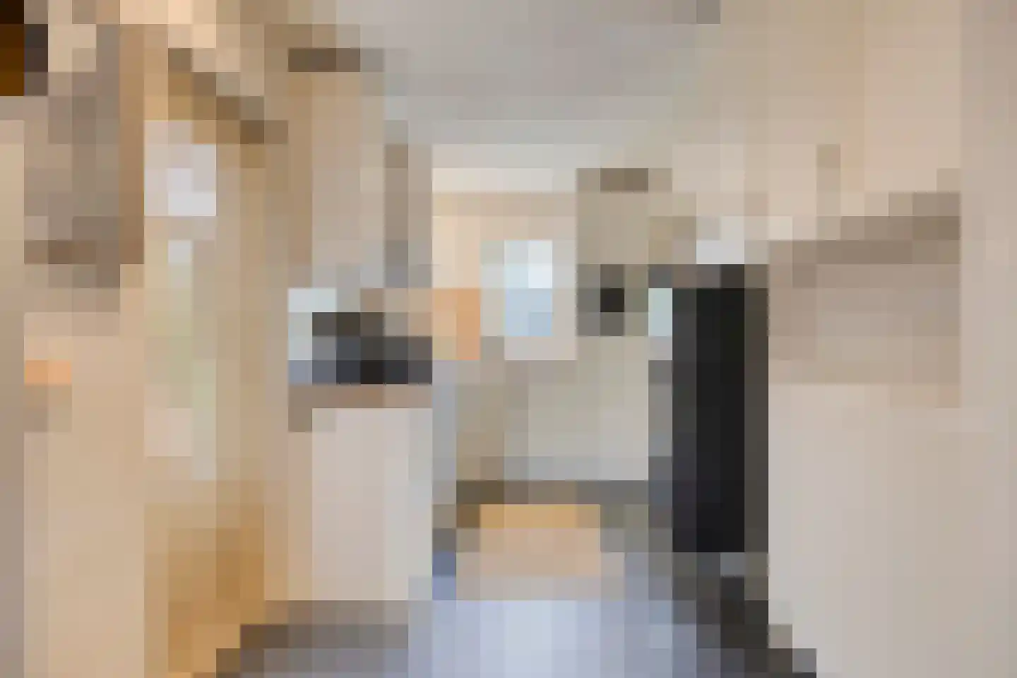 Mutjeskamp 2 Lith thumbnail 14