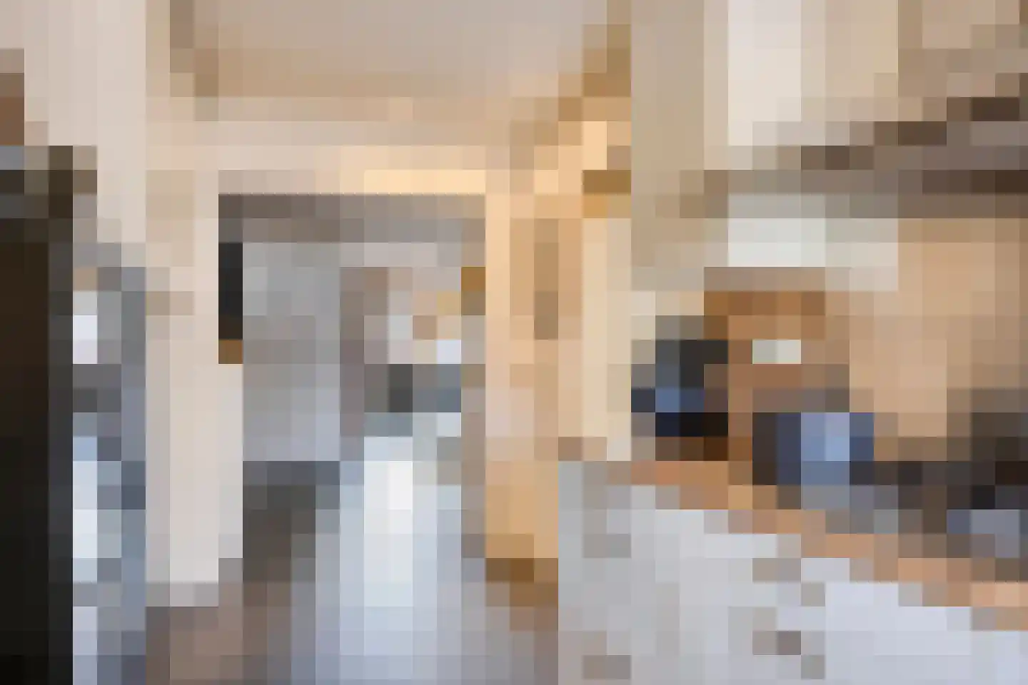 Mutjeskamp 2 Lith thumbnail 16