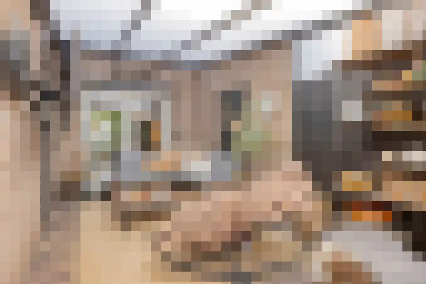 Mutjeskamp 2 Lith thumbnail 18