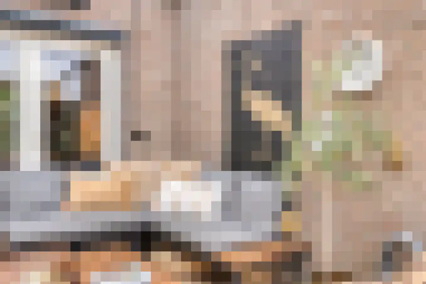 Mutjeskamp 2 Lith thumbnail 19