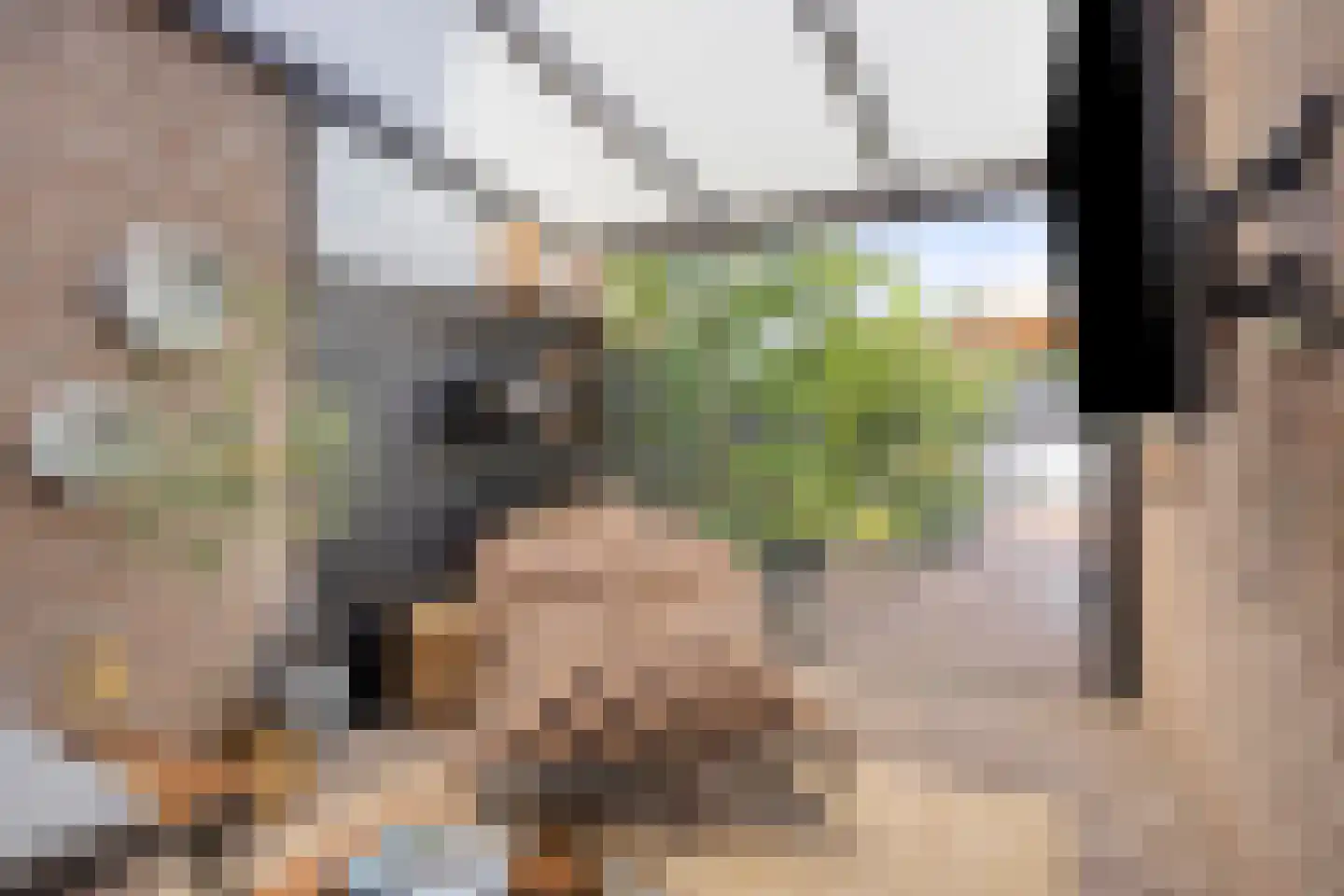 Mutjeskamp 2 Lith thumbnail 20