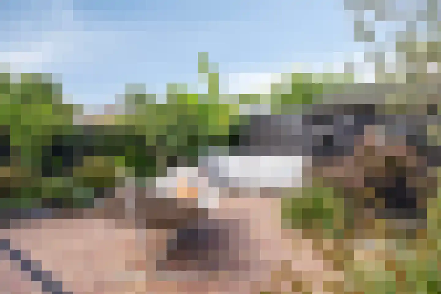 Mutjeskamp 2 Lith thumbnail 24
