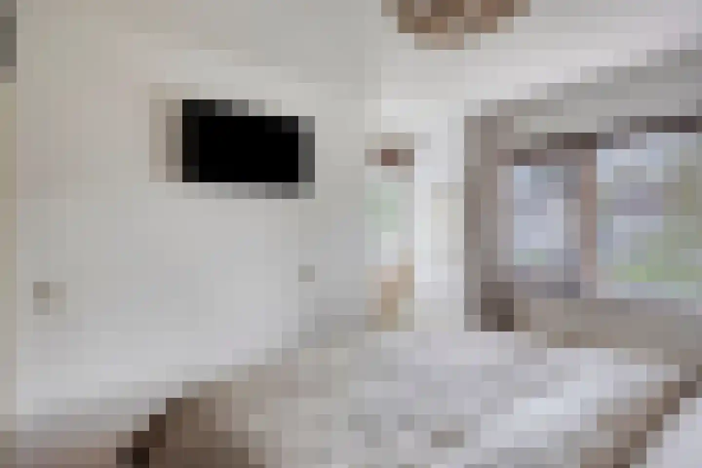 Mutjeskamp 2 Lith thumbnail 34