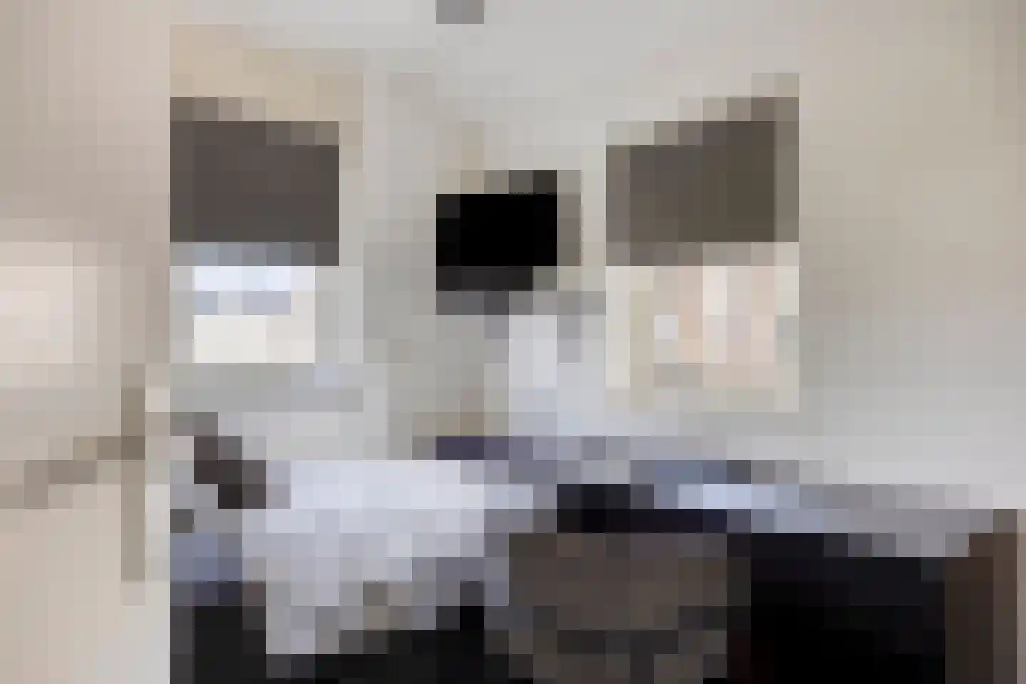 Mutjeskamp 2 Lith thumbnail 36
