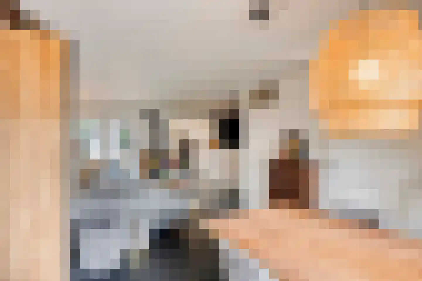 Mutjeskamp 2 Lith thumbnail 9
