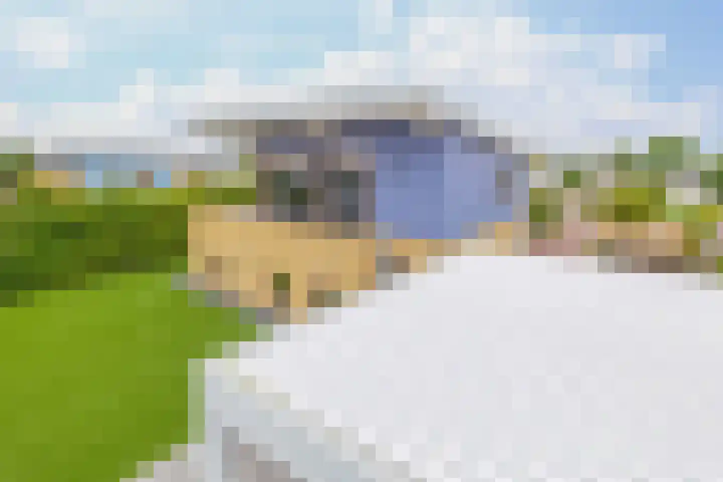 Mutserd 94 Lemmer thumbnail 34
