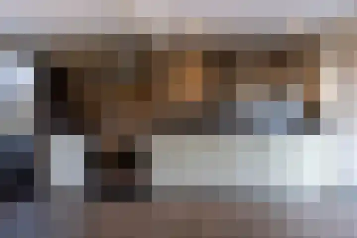 Mutsestraat 15 Ossendrecht thumbnail 16