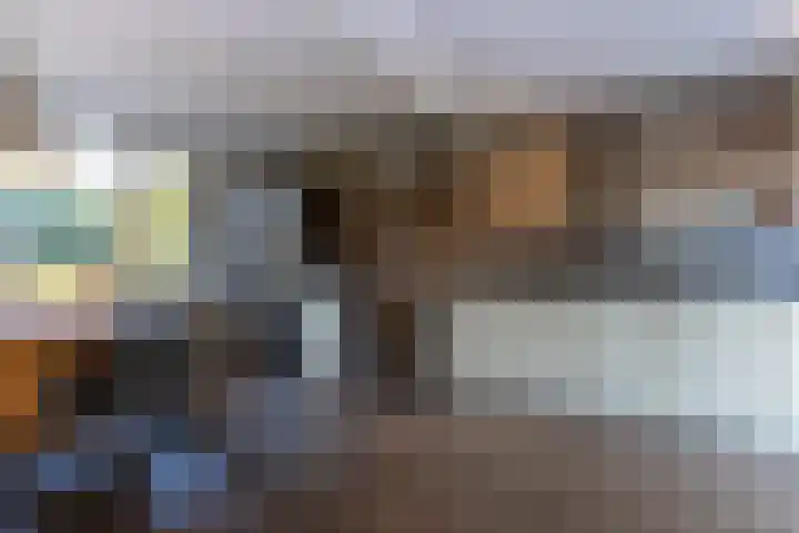 Mutsestraat 15 Ossendrecht thumbnail 17