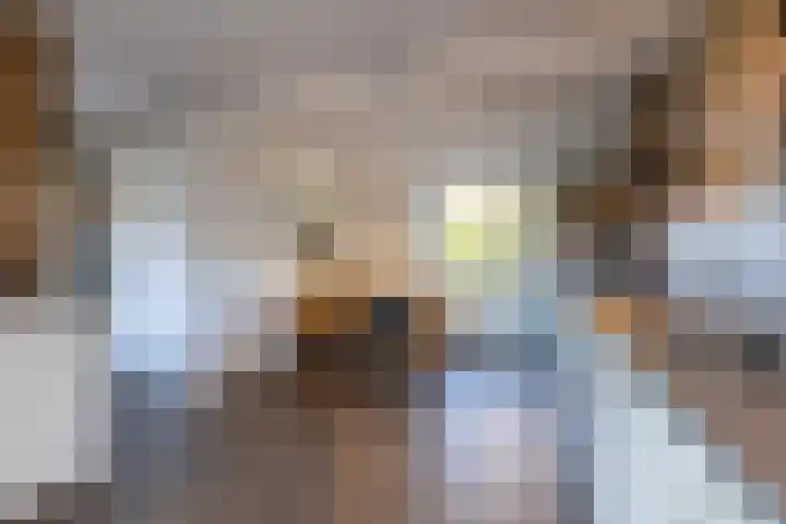 Mutsestraat 15 Ossendrecht thumbnail 18