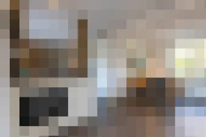 Mutsestraat 15 Ossendrecht thumbnail 22