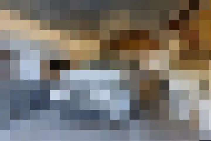 Mutsestraat 15 Ossendrecht thumbnail 43