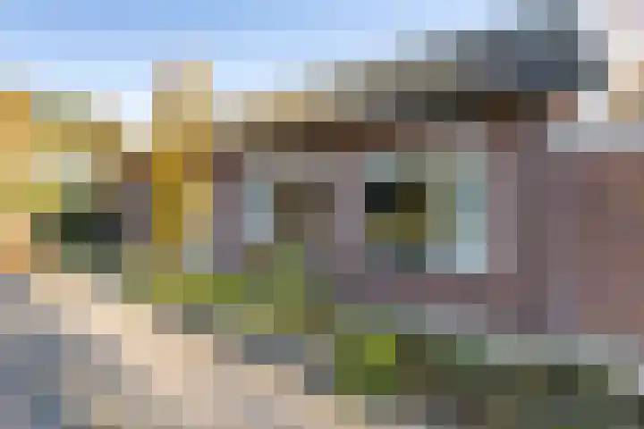 Mutsestraat 15 Ossendrecht thumbnail 65