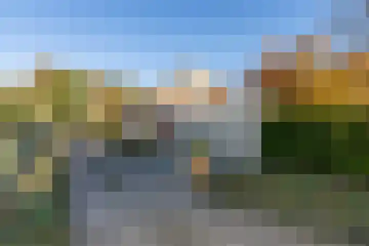 Mutsestraat 15 Ossendrecht thumbnail 66