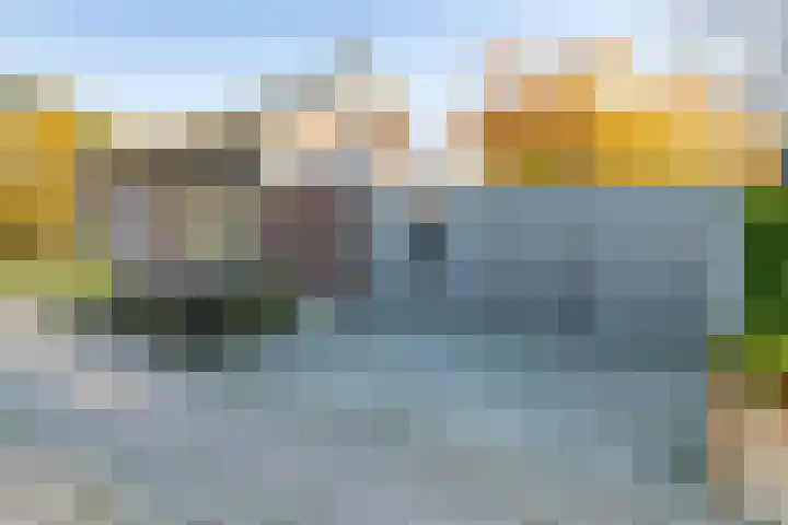 Mutsestraat 15 Ossendrecht thumbnail 67