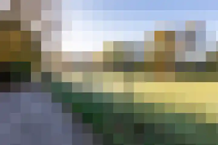 Mutsestraat 15 Ossendrecht thumbnail 68