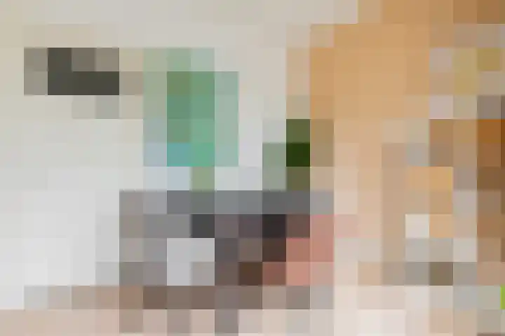 Mutua Fidesstraat 1 Groningen thumbnail 17