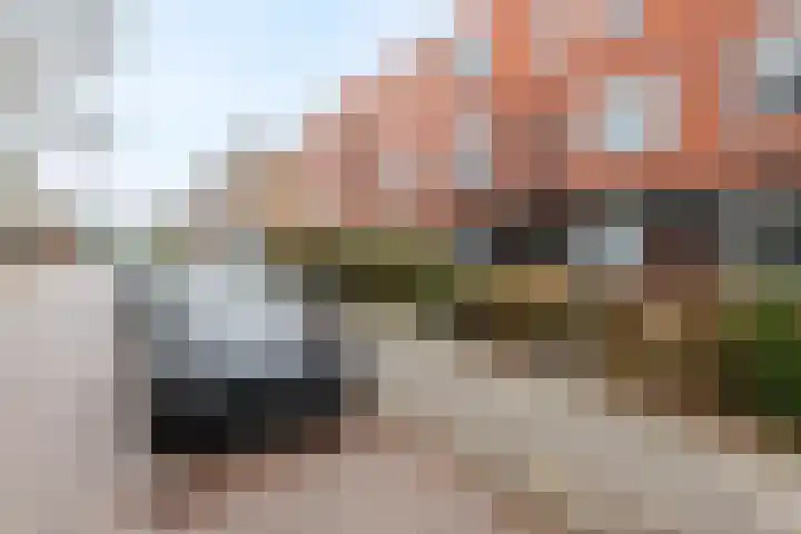 Mutua Fidesstraat 1 Groningen thumbnail 24