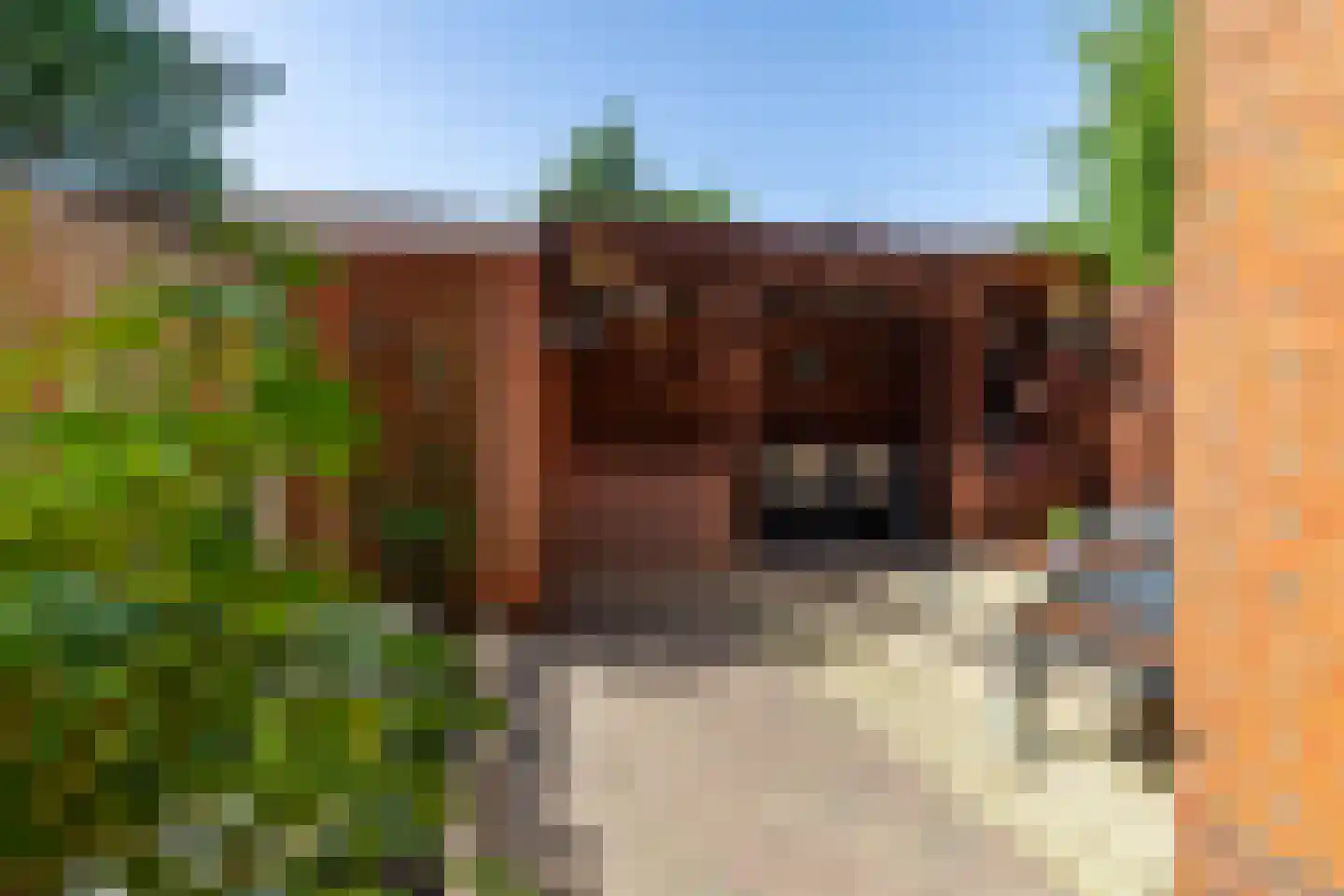 Mutua Fidesstraat 13 Groningen thumbnail 27