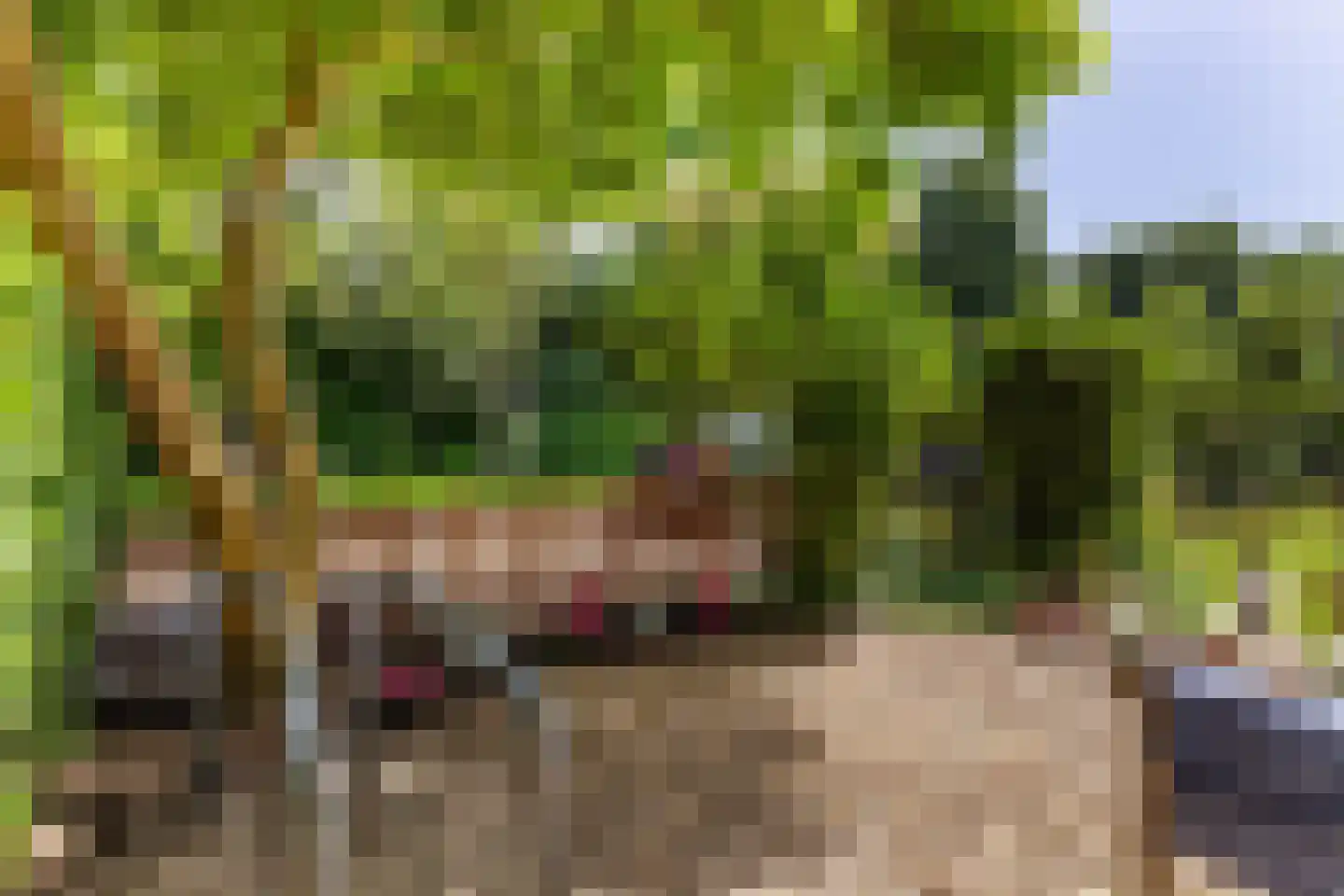 Mutua Fidesstraat 13 Groningen thumbnail 32