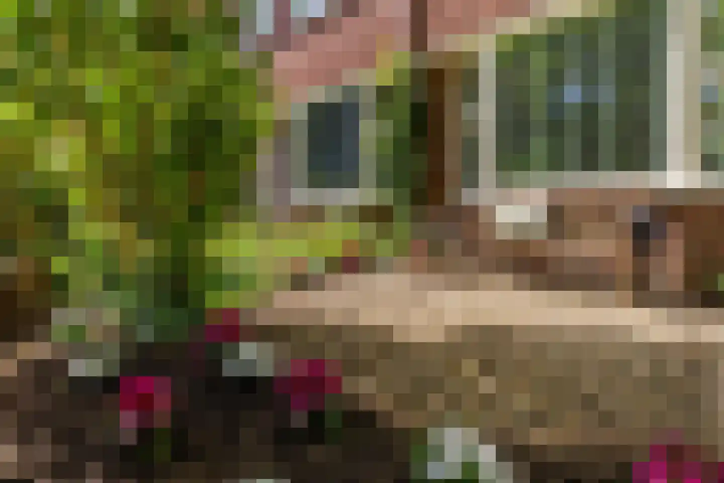 Mutua Fidesstraat 13 Groningen thumbnail 34