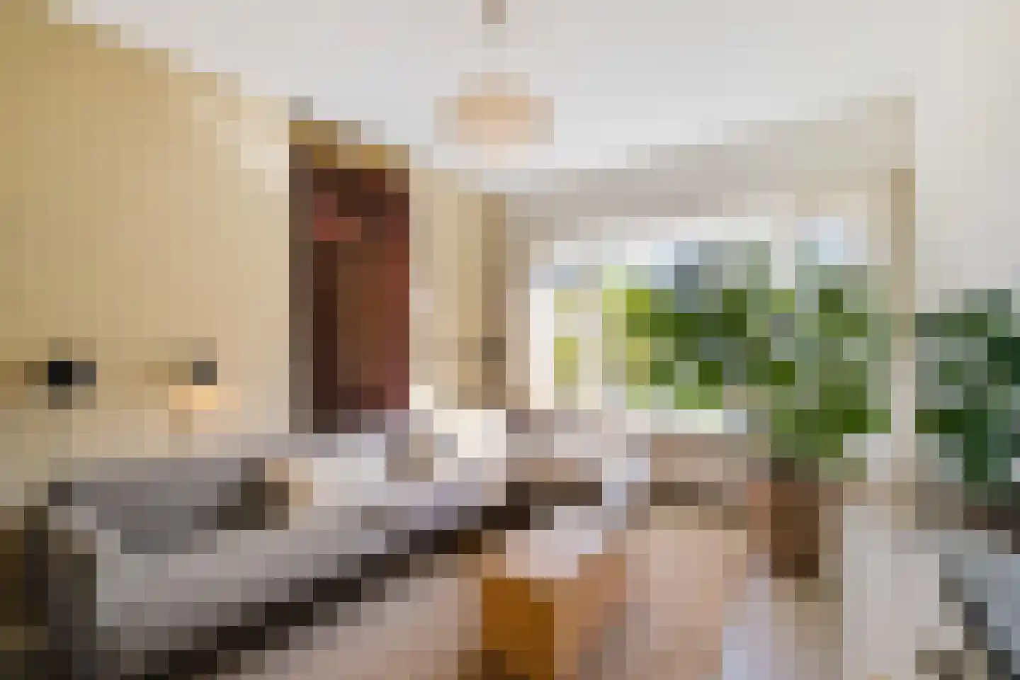 Mutua Fidesstraat 16 Groningen thumbnail 13