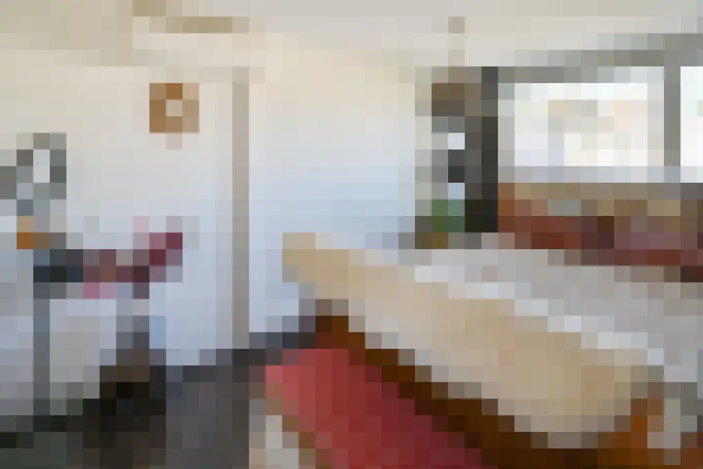 Muur 101 Uithoorn thumbnail 15