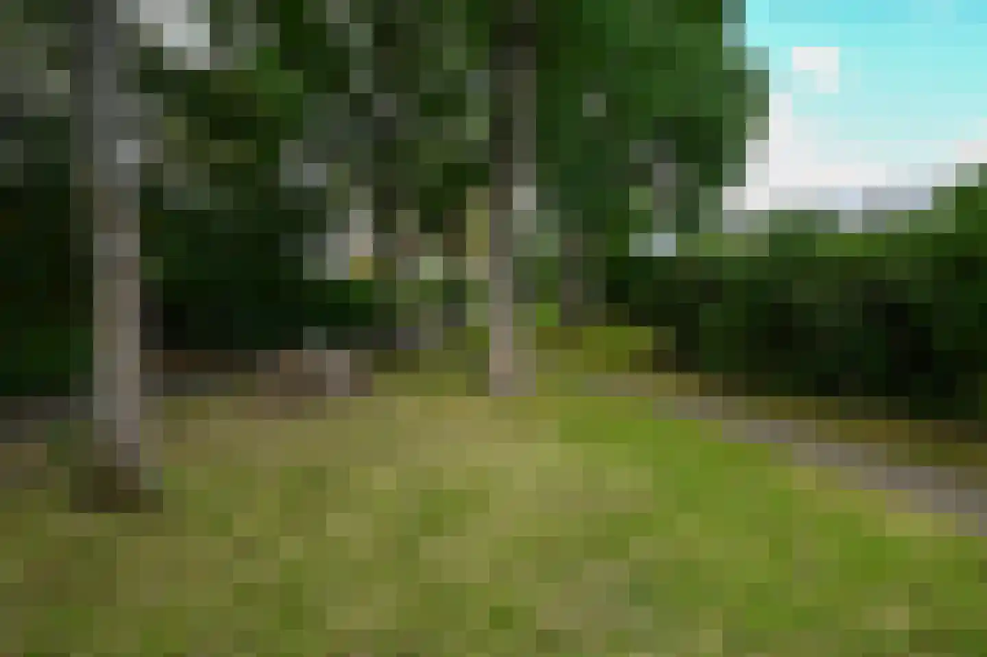 Muur 101 Uithoorn thumbnail 29