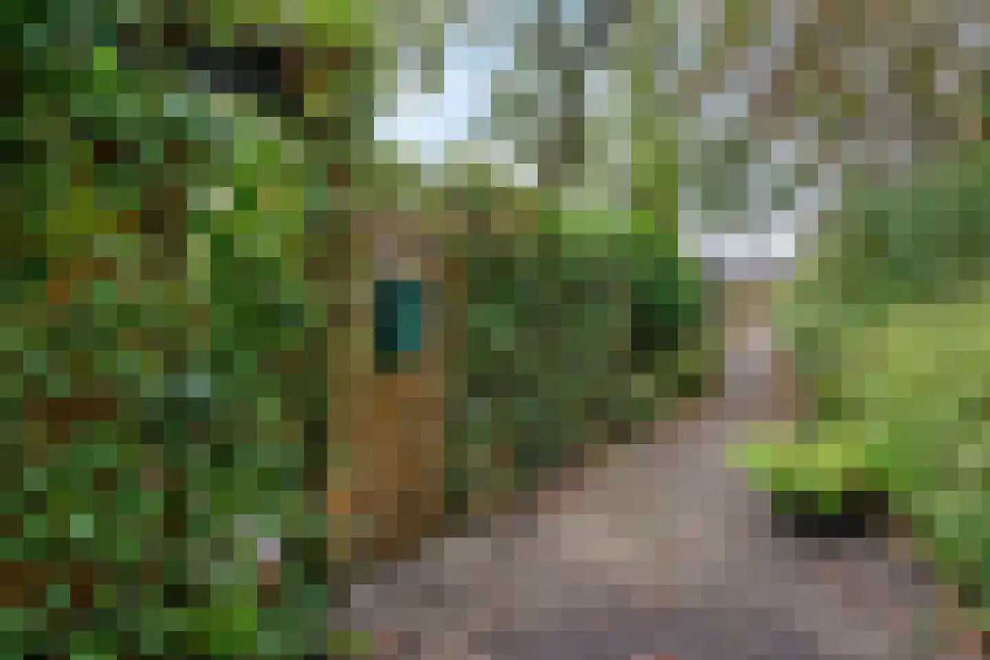 Muur 107 Uithoorn thumbnail 26
