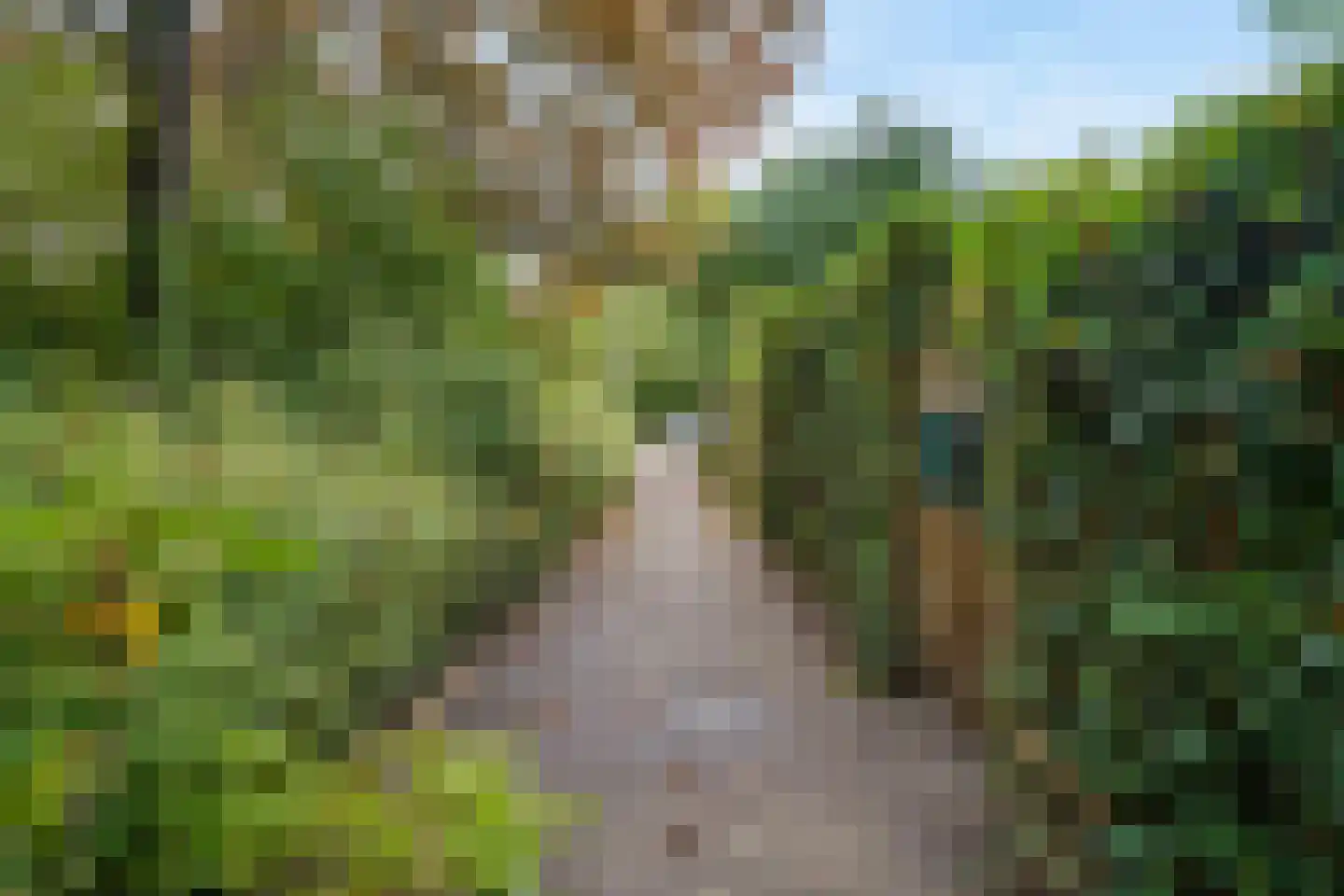 Muur 107 Uithoorn thumbnail 27
