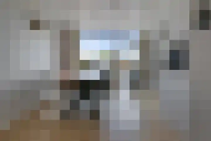 Muur 14 Uithoorn thumbnail 10