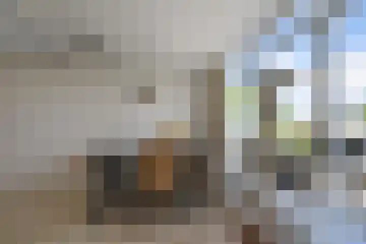 Muur 14 Uithoorn thumbnail 13