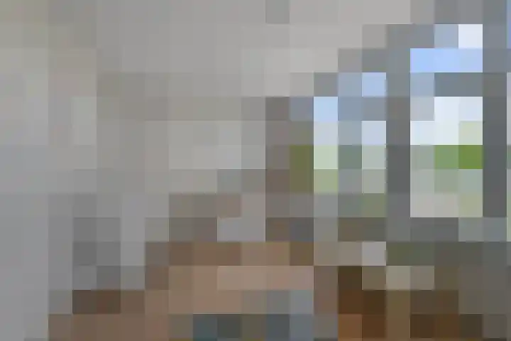 Muur 14 Uithoorn thumbnail 29