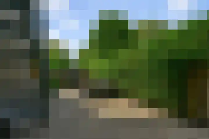 Muur 14 Uithoorn thumbnail 36