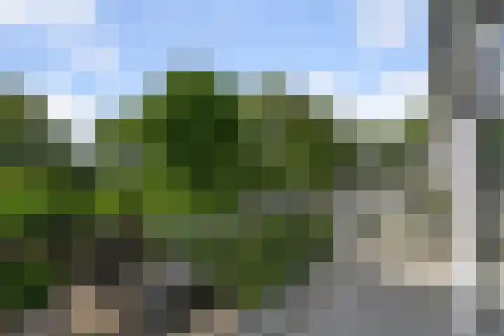 Muur 14 Uithoorn thumbnail 7