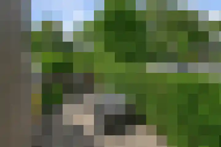 Muur 14 Uithoorn thumbnail 8