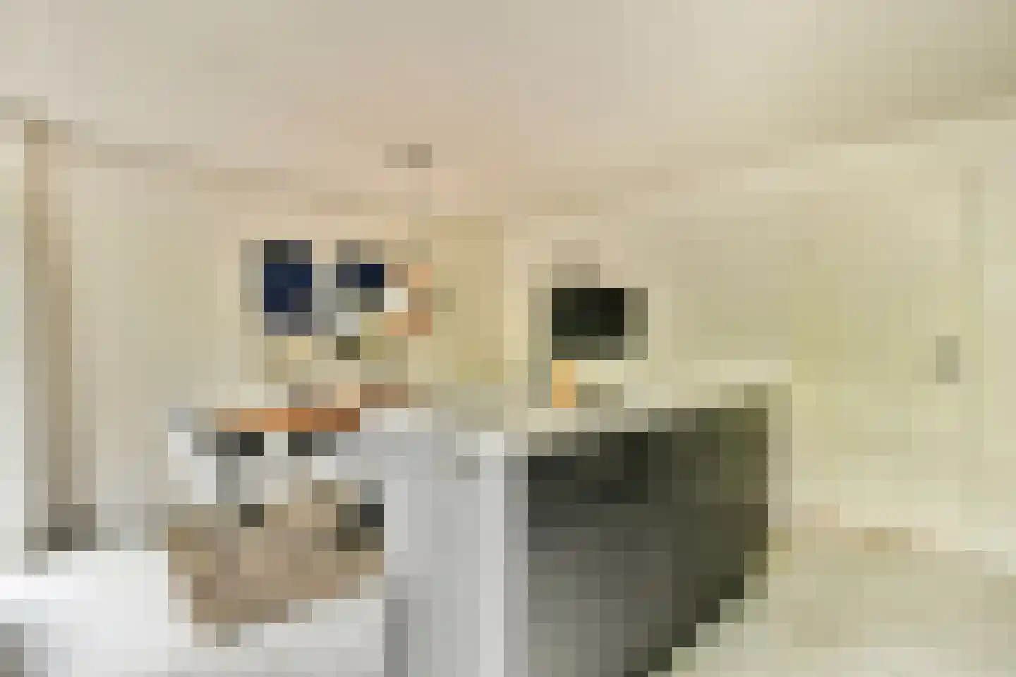 Muur 30 Uithoorn thumbnail 6